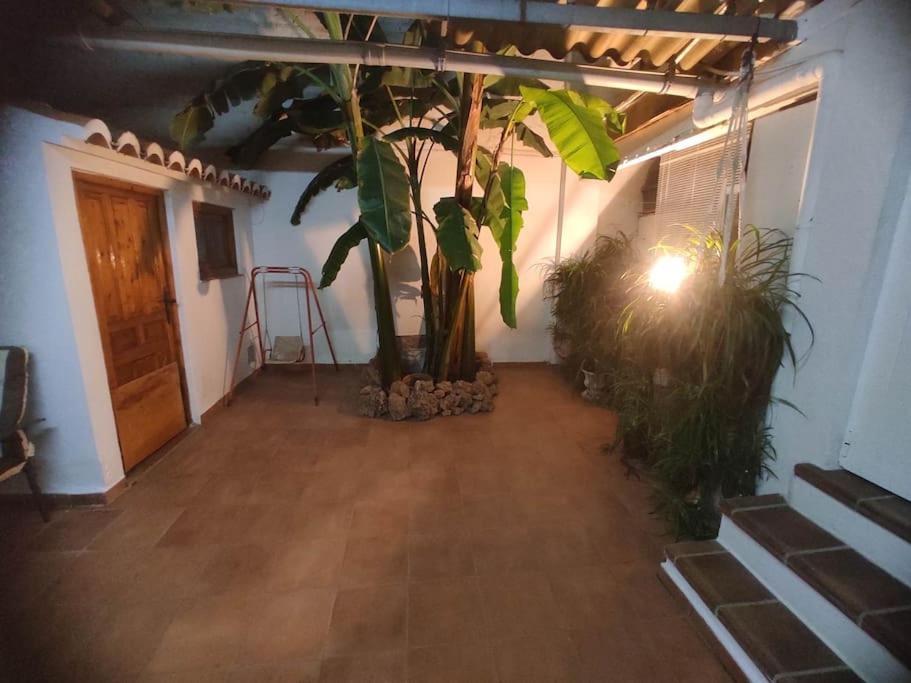 Encantadora Casa De Pueblo ساغونتو المظهر الخارجي الصورة